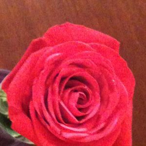 Meet your Posher, Rita